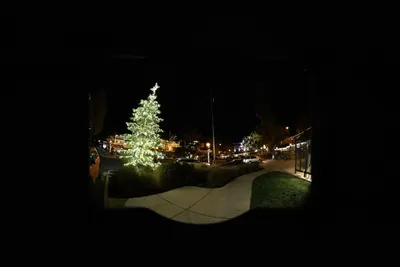 DSC_0022 (Large).JPG